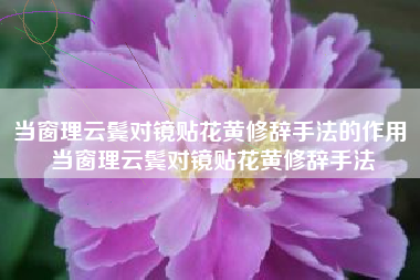 当窗理云鬓对镜贴花黄修辞手法的作用 当窗理云鬓对镜贴花黄修辞手法