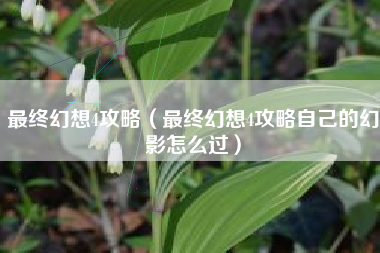 最终幻想4攻略（最终幻想4攻略自己的幻影怎么过）