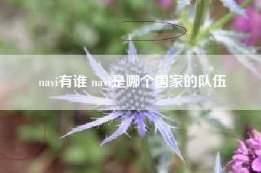 navi有谁 navi是哪个国家的队伍