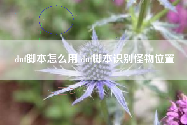 dnf脚本怎么用 dnf脚本识别怪物位置