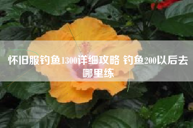 怀旧服钓鱼1300详细攻略 钓鱼200以后去哪里练