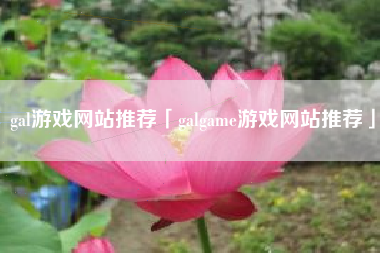 gal游戏网站推荐「galgame游戏网站推荐」