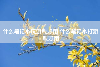 什么笔记本玩游戏好用 什么笔记本打游戏好用