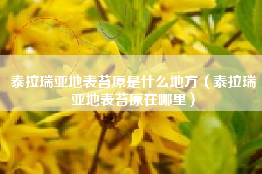 泰拉瑞亚地表苔原是什么地方（泰拉瑞亚地表苔原在哪里）