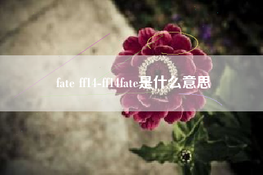 fate ff14-ff14fate是什么意思