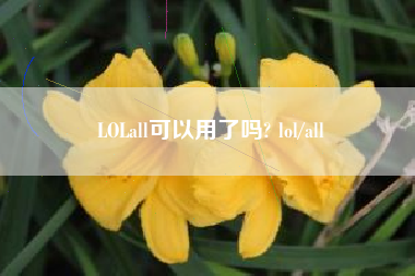 LOLall可以用了吗? lol/all