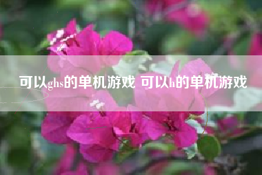 可以ghs的单机游戏 可以h的单机游戏