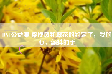 DNF公益服 梁挽风和翠花的约定了，我的心，颤抖的手