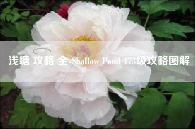 浅塘 攻略 全-Shallow Pond 173级攻略图解