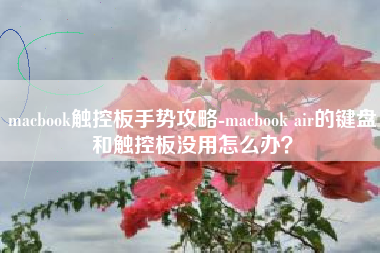 macbook触控板手势攻略-macbook air的键盘和触控板没用怎么办？