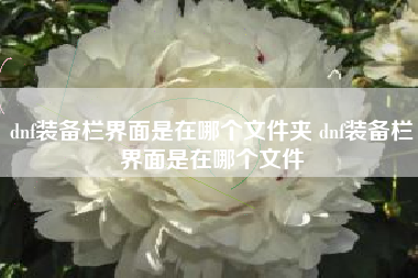 dnf装备栏界面是在哪个文件夹 dnf装备栏界面是在哪个文件