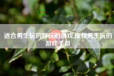 适合男生玩的好玩的游戏,推荐男生玩的游戏手游