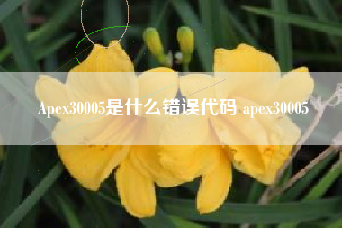 Apex30005是什么错误代码 apex30005