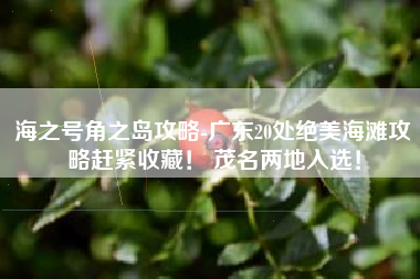 海之号角之岛攻略-广东20处绝美海滩攻略赶紧收藏！ 茂名两地入选！