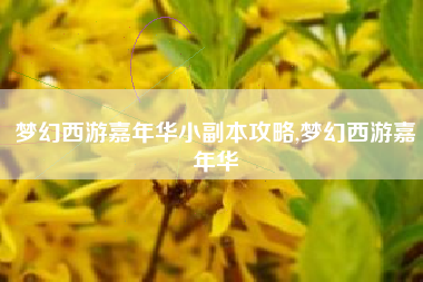 梦幻西游嘉年华小副本攻略,梦幻西游嘉年华