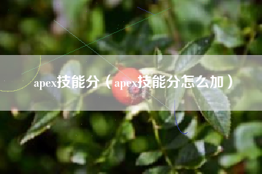 apex技能分（apex技能分怎么加）