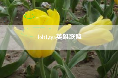 lolt1,tga英雄联盟