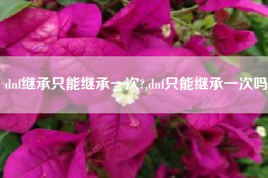 dnf继承只能继承一次?,dnf只能继承一次吗