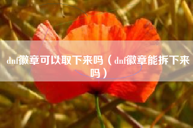 dnf徽章可以取下来吗（dnf徽章能拆下来吗）