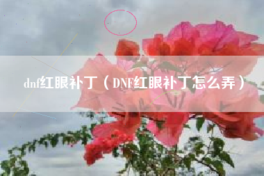 dnf红眼补丁（DNF红眼补丁怎么弄）