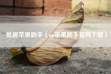 批趣苹果助手（pp苹果助手官网下载）