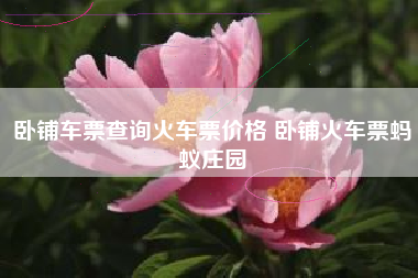 卧铺车票查询火车票价格 卧铺火车票蚂蚁庄园