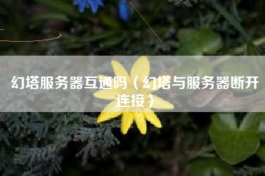 幻塔服务器互通吗（幻塔与服务器断开连接）