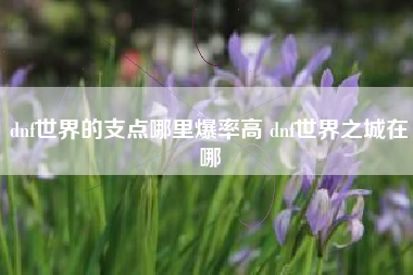 dnf世界的支点哪里爆率高 dnf世界之城在哪