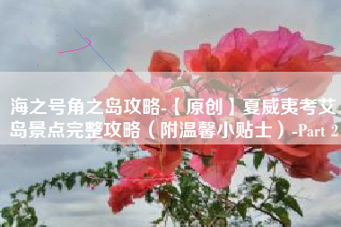 海之号角之岛攻略-【原创】夏威夷考艾岛景点完整攻略（附温馨小贴士）-Part 2