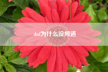 dnf为什么没频道