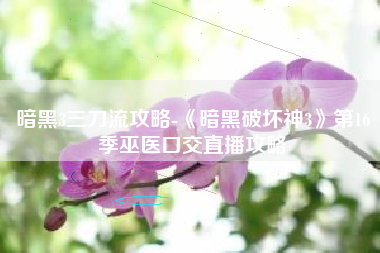 暗黑3三刀流攻略-《暗黑破坏神3》第16季巫医口交直播攻略