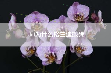 dnf为什么格兰迪搬砖