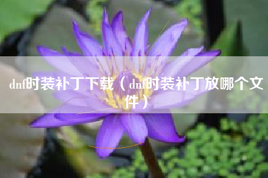 dnf时装补丁下载（dnf时装补丁放哪个文件）