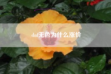 dnf无色为什么涨价