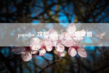 paradise 攻略-paradise游戏攻略