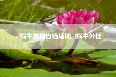 cf蜗牛透视自瞄辅助,cf蜗牛外挂