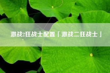 激战2狂战士配置「激战二狂战士」