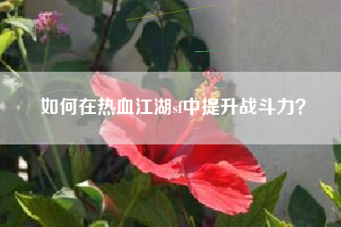 如何在热血江湖sf中提升战斗力？