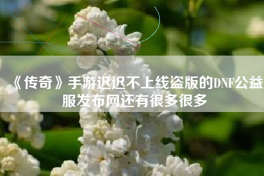 《传奇》手游迟迟不上线盗版的DNF公益服发布网还有很多很多