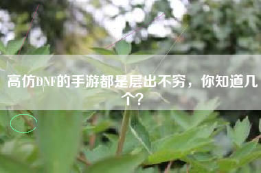 高仿DNF的手游都是层出不穷，你知道几个？