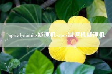 apexdynamics减速机-apex减速机减速机