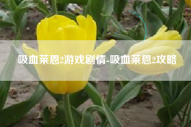 吸血莱恩2游戏剧情-吸血莱恩2攻略