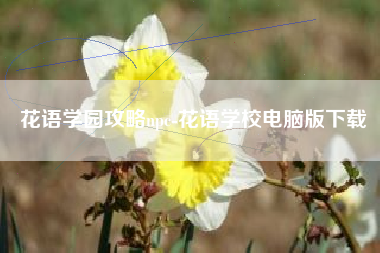 花语学园攻略npc-花语学校电脑版下载