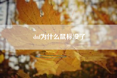 dnf为什么鼠标没了