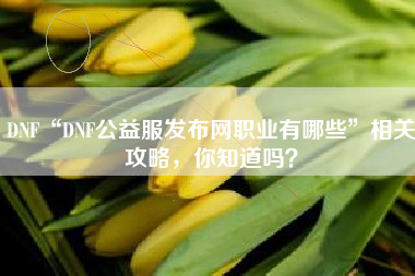 DNF“DNF公益服发布网职业有哪些”相关攻略，你知道吗？