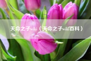 天命之子wiki（天命之子wiki百科）