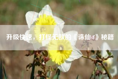 升级快速，打怪无敌的《诛仙sf》秘籍