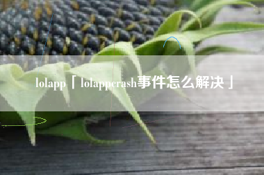 lolapp「lolappcrash事件怎么解决」