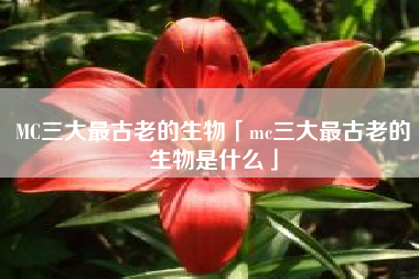 MC三大最古老的生物「mc三大最古老的生物是什么」