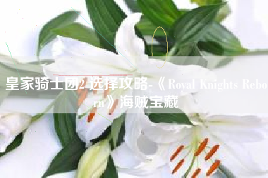 皇家骑士团2 选择攻略-《Royal Knights Reborn》海贼宝藏